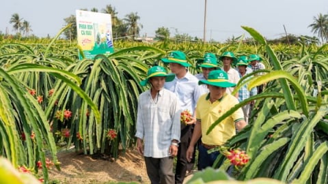 Phân bón Cà Mau tiếp sức nhà nông, vun niềm tin mùa vụ mới