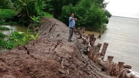 Trà Vinh: Đề xuất hơn 2.700 tỷ đồng khắc phục sạt lở tại Cầu Kè
