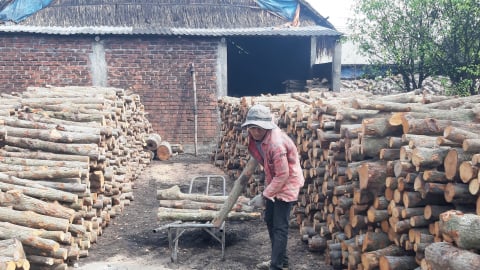 Hậu Giang kiểm soát chặt sản xuất than củi bảo vệ môi trường