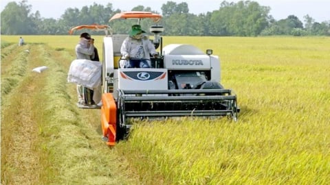 Trà Vinh: Tốc độ tăng trưởng tổng sản phẩm ước đạt 8,25%