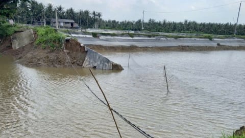 Vĩnh Long công bố tình huống khẩn cấp sạt lở đê bao Bắc rạch Trà Cú