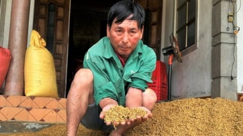 Lũ lụt đến sớm, bất thường