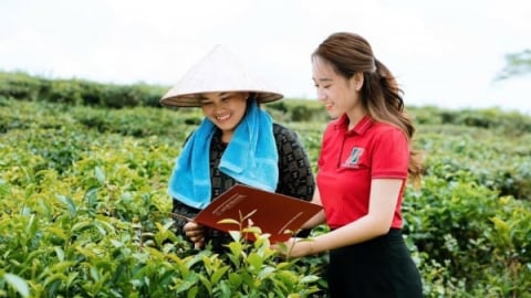 Agribank góp phần đưa kinh tế tư nhân thành động lực nền kinh tế quốc gia