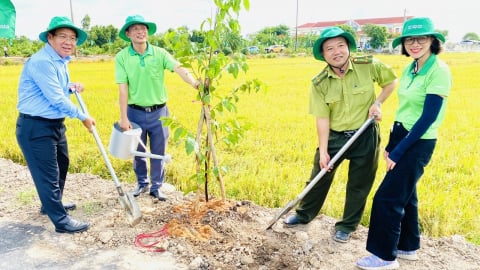 Thu gom hơn 20 tấn bao gói thuốc bảo vệ thực vật