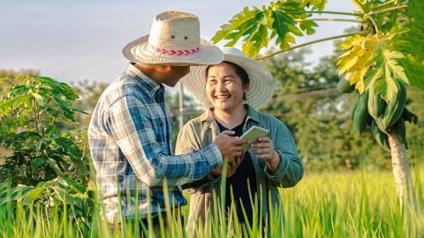 Thắp lửa đổi mới sáng tạo trong nông nghiệp số