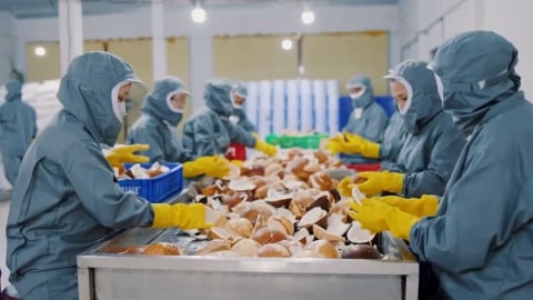 Từ nguyên liệu địa phương đến sản phẩm xuất khẩu
