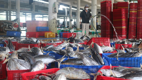 VASEP khuyến nghị doanh nghiệp tuân thủ Nghị định 37