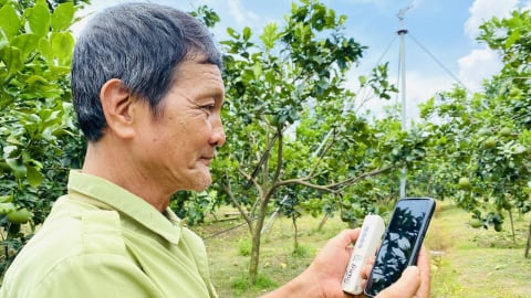 Ứng dụng chuyển đổi số để tối ưu hóa quy trình sản xuất