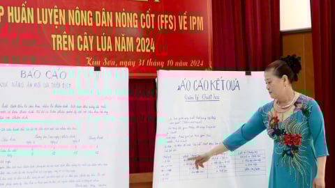 Học IPM, nông dân Quảng Ninh sản xuất giỏi, múa hát hay