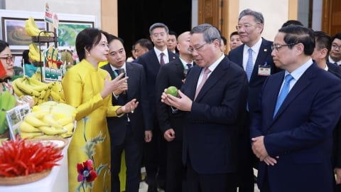 Multi-channel, multi-directional Vietnamese agricultural markets: [1] Global situation