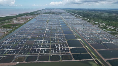 9 scientific and technological recommendations in livestock and aquaculture