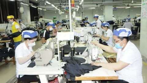 U.S. tariff shock: What should Vietnamese businesses do?