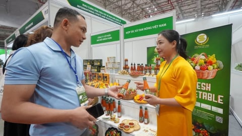 Multi-channel, multi-directional Vietnamese agricultural markets: [7] Deep processing makes global reach easy