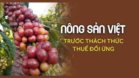 Tính toán 'thị trường đường xa' cho cà phê Việt
