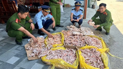 500kg đuôi lợn, chân gà bẩn 'đi' nhầm vào kho công ty thực phẩm sạch