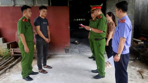 Khởi tố 2 đối tượng mua bán, tiêu thụ lợn nhiễm bệnh dịch tả Châu Phi