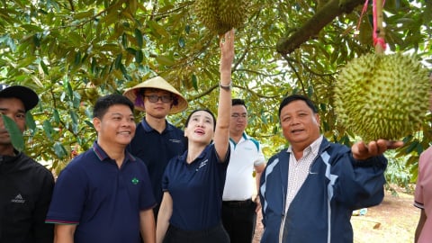 Đắk Lắk trước cơ hội trở thành ‘thủ phủ nông nghiệp xanh’ của Việt Nam