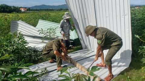 Quảng Nam: 30 căn nhà bị hư hỏng do lốc xoáy