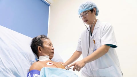 Cấp cứu thành công bệnh nhân nguy kịch do bị ong vò vẽ đốt