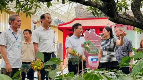 Quảng Ngãi giới thiệu nhiều tiềm năng kinh tế tại triển lãm thành tựu đất nước
