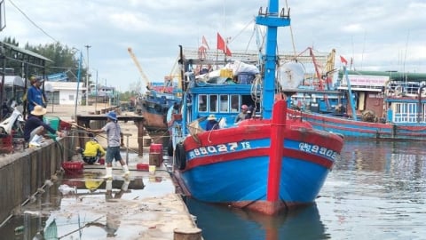 Quảng Ngãi công bố 2 cảng cá chỉ định phục vụ quản lý nghề cá