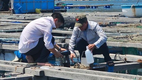 Quan trắc môi trường góp phần phát triển nuôi trồng thủy sản bền vững