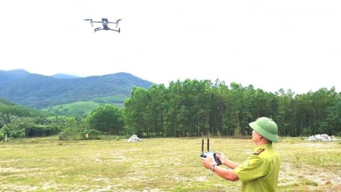 Tuần tra, giám sát rừng bằng drone