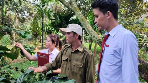 Agribank Chi nhánh Đắk Lắk đồng hành cùng khách hàng trong kiểm soát rủi ro