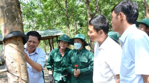 Sức sống nông trường: Lang thang chiều Chư Sê