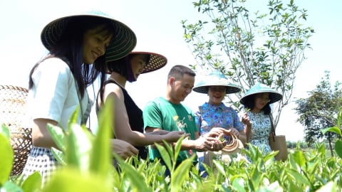 Thái Nguyên đón 235.000 lượt khách dịp nghỉ lễ