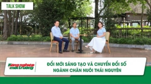 Đổi mới sáng tạo và chuyển đổi số ngành chăn nuôi Thái Nguyên