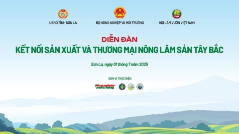 Kết nối sản xuất và thương mại đặc sản vùng cao Tây Bắc