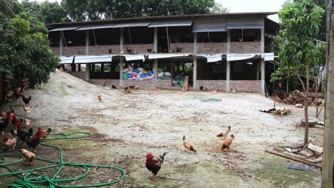 Chuyển dòng nước xóa vùng phân lũ: [Bài 3] 'Chung cư gà' giữa rốn ngập
