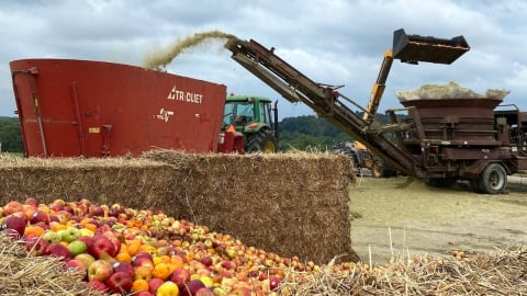 Tái chế rác thải thực phẩm có thể giúp giảm mạnh phát thải khí nhà kính