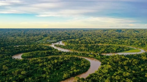 Hội nghị bàn tròn Carajás: Lối đi mới cho chính sách khí hậu quốc tế