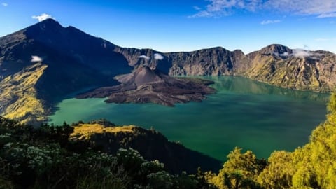 Indonesia công bố 19 loài sinh vật mới