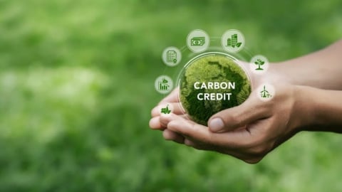 Mỹ cần củng cố vai trò trong thị trường carbon tự nguyện
