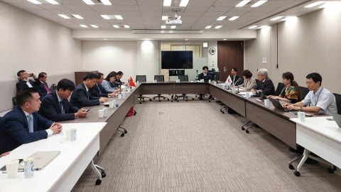 Đẩy nhanh tiến độ hợp tác giữa Bộ Nông nghiệp và Môi trường và JICA