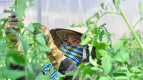 Mục tiêu 'ly nông không ly hương'