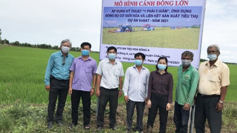 Chuyển biến rõ rệt chính là thay đổi tập quán canh tác lúa của nông dân