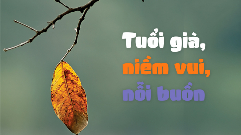 Nhà văn Bảo Ninh: Tuổi già, niềm vui, nỗi buồn