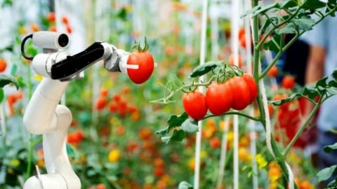 Robot nông nghiệp phát triển mạnh ở Trung Quốc