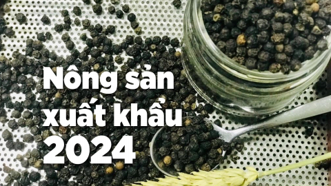 'Sạch kho' nhưng hồ tiêu khó giữ đà tăng giá trong dài hạn