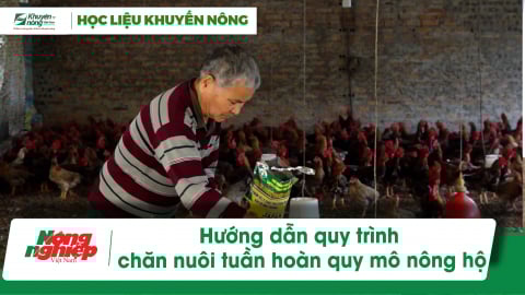 Hướng dẫn chăn nuôi tuần hoàn quy mô nông hộ