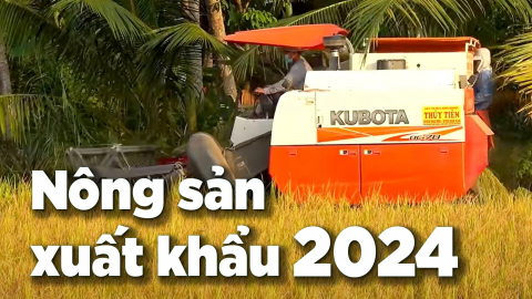 Việt Nam dẫn đầu về xuất khẩu gạo vào Singapore