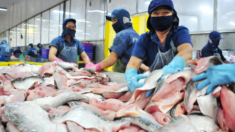 Xây dựng thương hiệu cá tra là chìa khóa nâng cao giá trị gia tăng