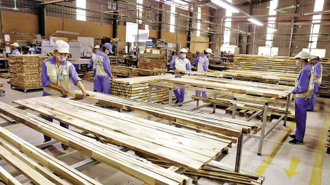 Xuất khẩu gỗ và sản phẩm từ gỗ tăng trưởng ngoạn mục