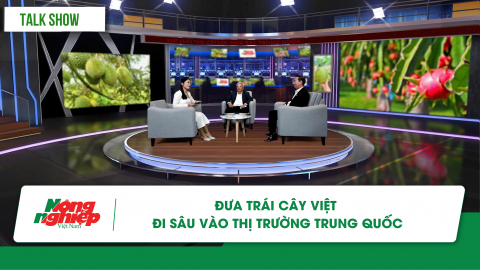 Đưa trái cây Việt đi sâu vào thị trường Trung Quốc