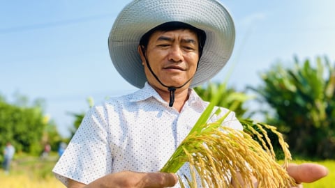 Định vị hạt gạo Việt Nam trong kỷ nguyên mới