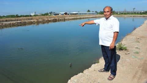 Nuôi cá trên vùng đất phèn thu lãi tiền tỷ